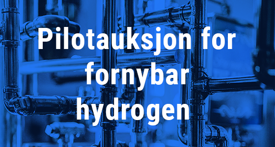 Få støtte fra EU Innovation Fund med rådgivning fra Nordic Innovators